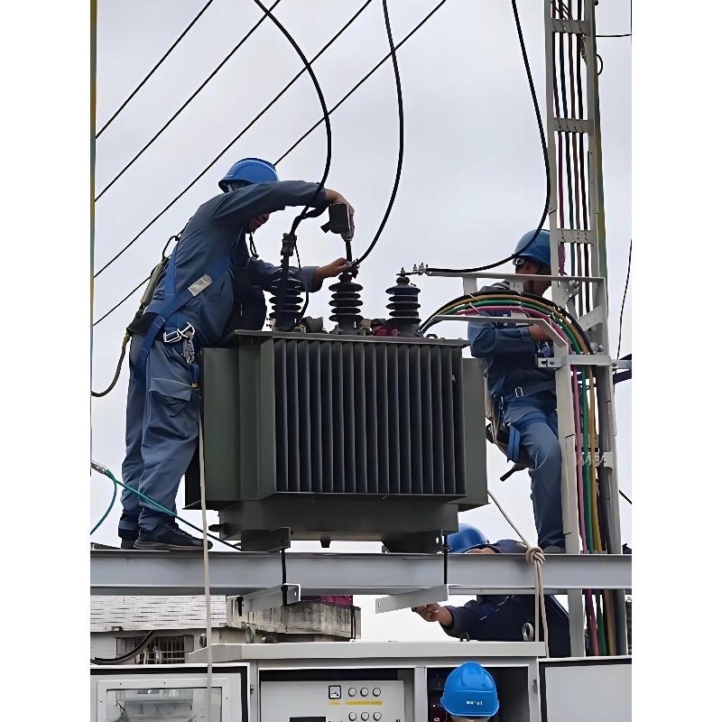 Euro Grid Liquid Immersed Tran - مراجعة Heavy Equipment Supplier وسعره